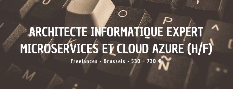 Architecte Informatique Expert Microservices et Cloud Azure (H/F)