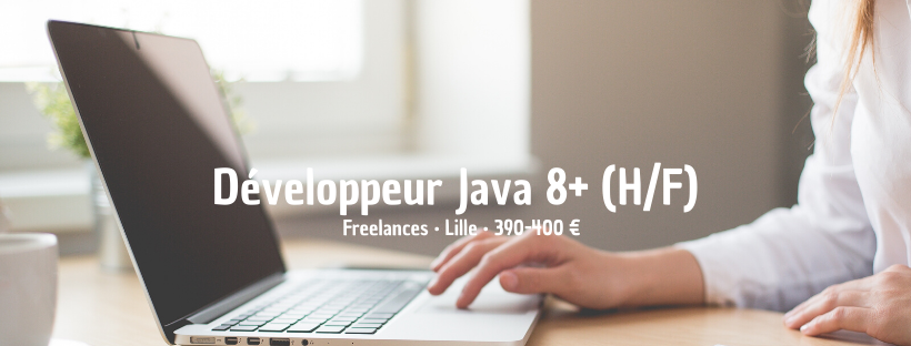 Développeur Java 8+ (H/F)