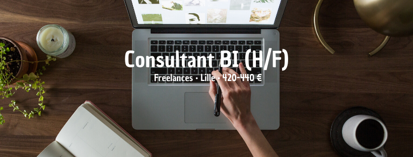 Consultant BI (H/F)