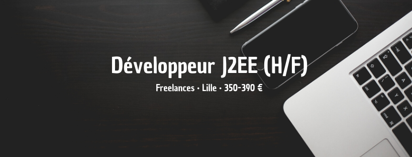Développeur J2EE (H/F)