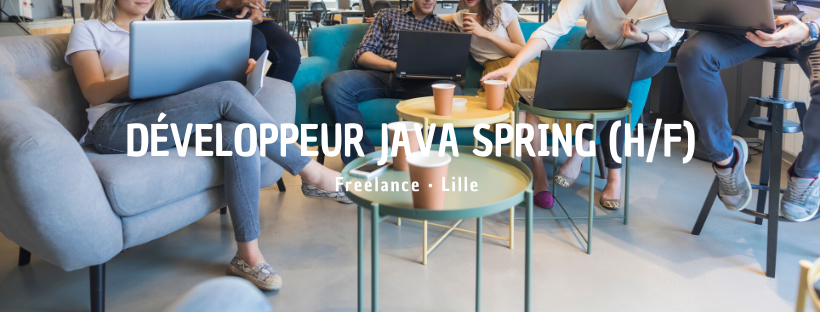 Développeur Java Spring (H/F)