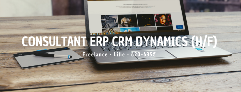 Consultant ERP CRM Dynamics (H/F)