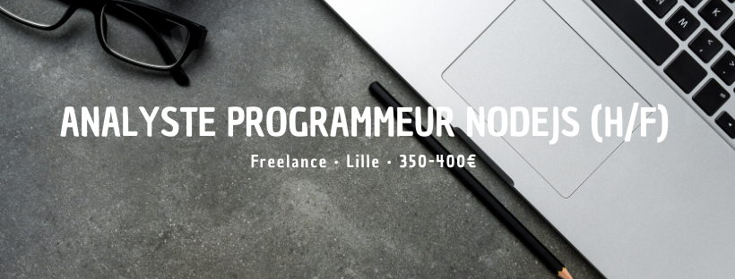 Analyste Programmeur NodeJS (H/F)