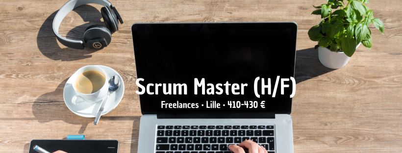 Scrum Master (H/F)