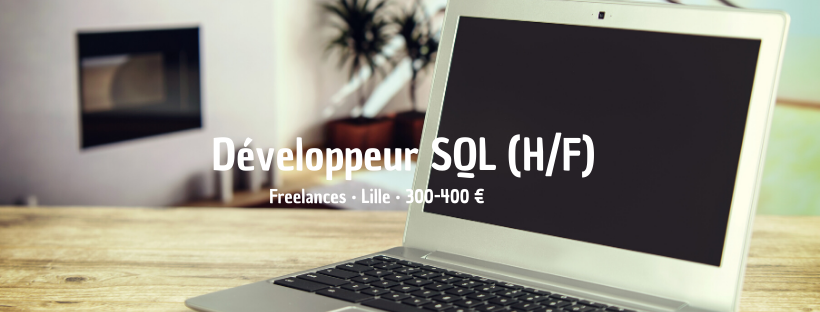 Développeur SQL (H/F)