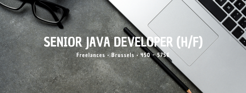 Senior Java Developer (H/F)