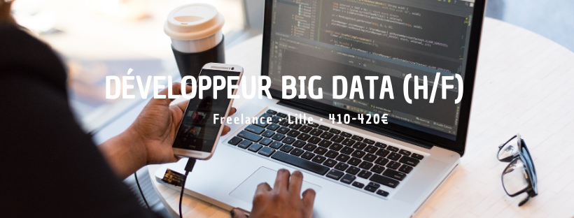 Développeur Big Data (H/F)