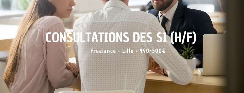 Consultations des SI (H/F)