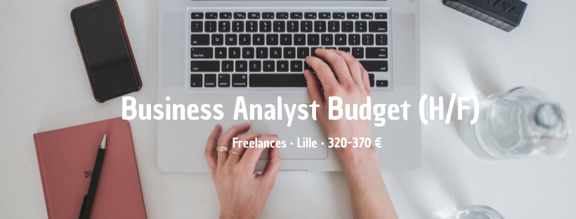Business Analyst Budget (H/F)