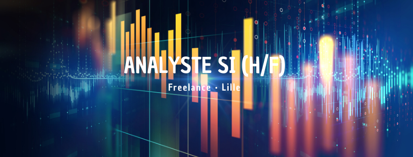 Analyste SI (H/F)