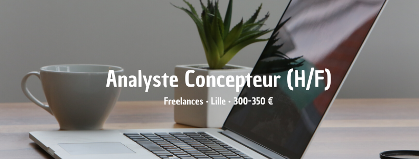 Analyste Concepteur (H/F)