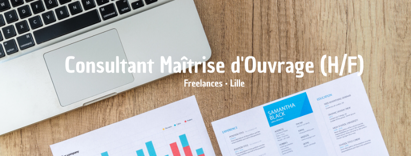 Consultant Maîtrise d'Ouvrage