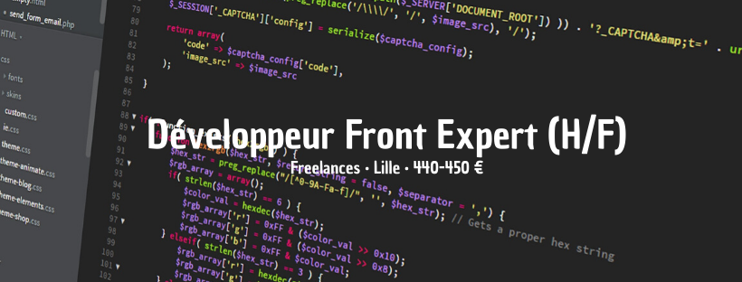 Développeur Front Expert