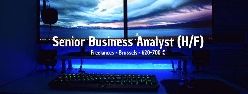 Senior Business Analyst