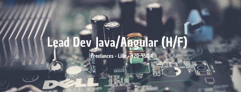 Lead Dev Java/Angular