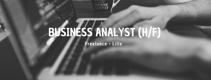 Business Analyst (H/F)
