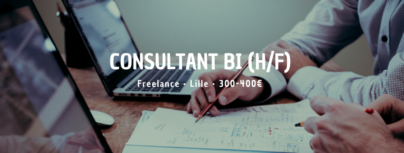 Consultant BI (H/F)
