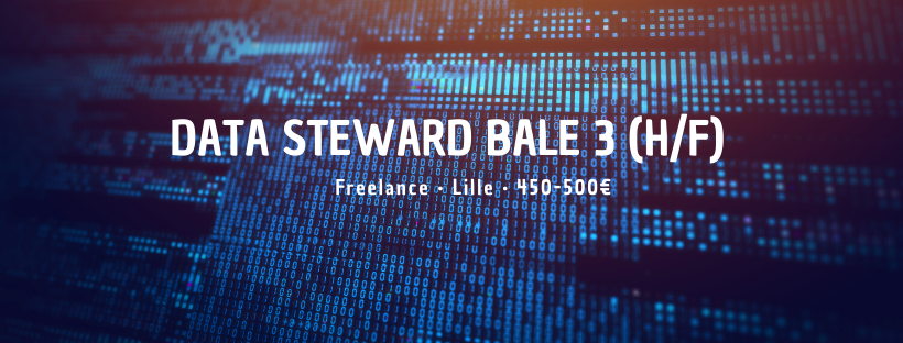 Data Steward Bale 3 (H/F)