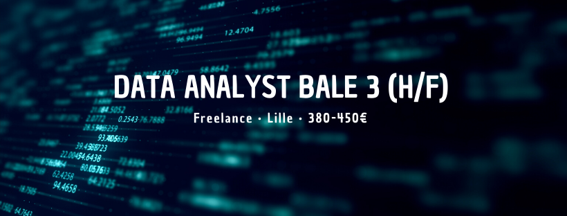 Data Analyst Bale 3 (H/F)