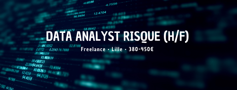 Data Analyst Risque (H/F)