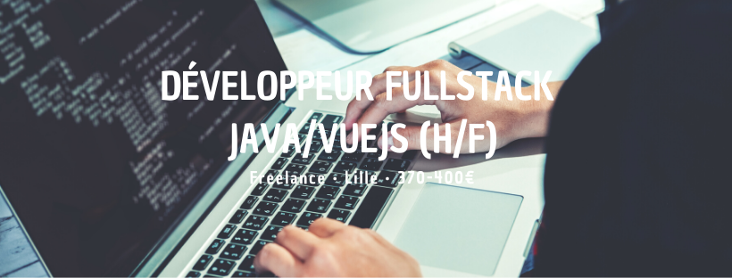 Développeur Fullstack Java/VueJS (H/F)