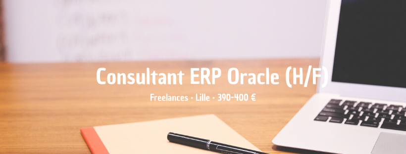 Consultant ERP Oracle
