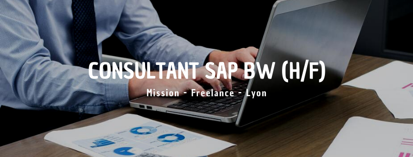 Consultant SAP BW (H/F)