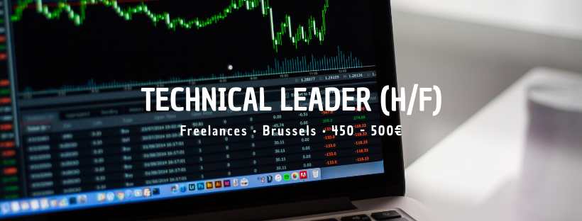 Technical Leader (H/F)