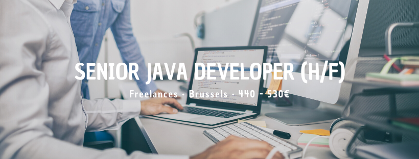 Senior Java Developer (H/F)