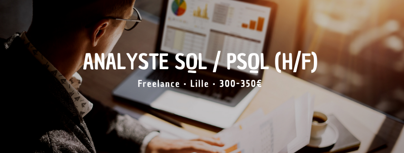 Analyste SQL / PSQL (H/F)