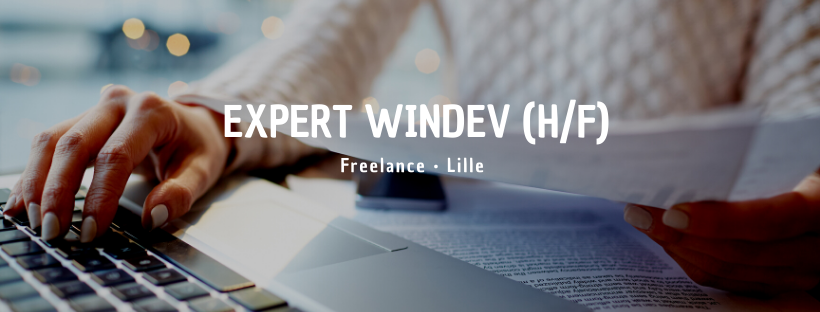 Expert Windev (H/F)