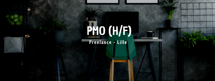 PMO (H/F)