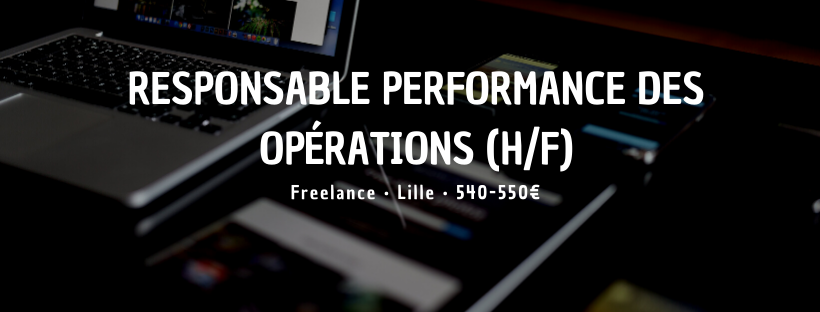 Responsable performance des opérations (H/F)