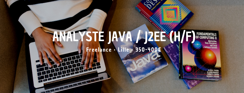 Analyste Java / J2EE (H/F)