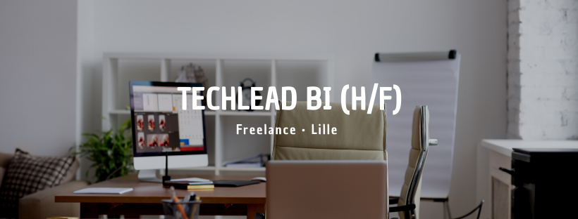 TechLead BI (H/F)