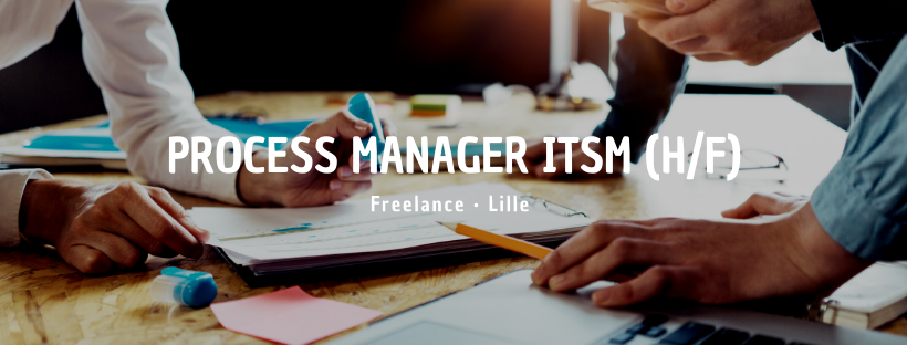 Process Manager ITSM (H/F)
