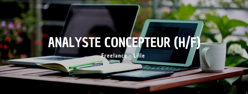 Analyste Concepteur