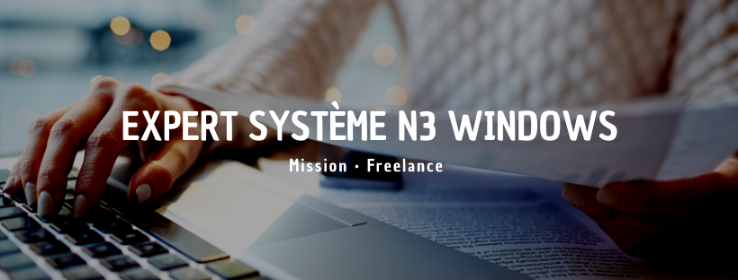 Expert Système N3 Windows