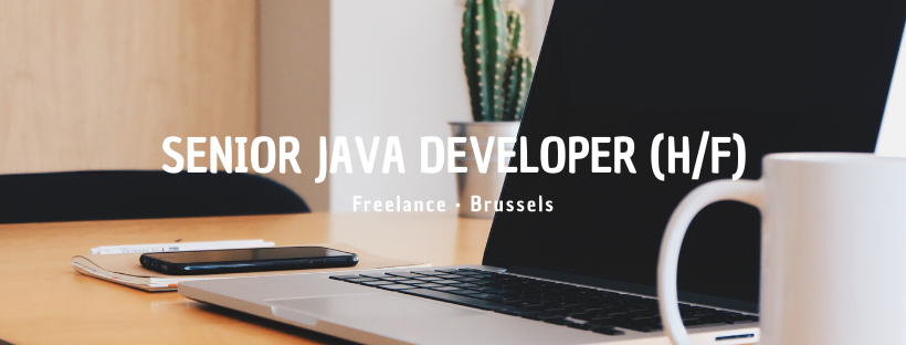 Senior Java Developer (H/F)