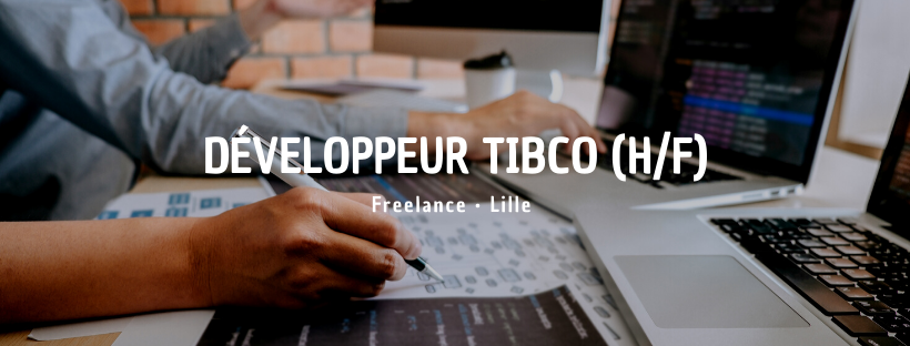 Développeur TIBCO (H/F)