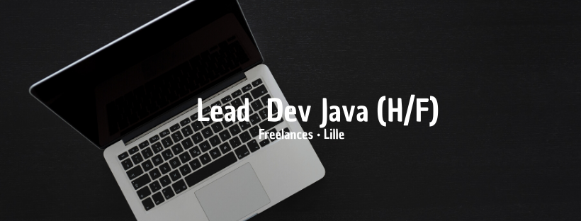 Lead Dev Java (H/F)