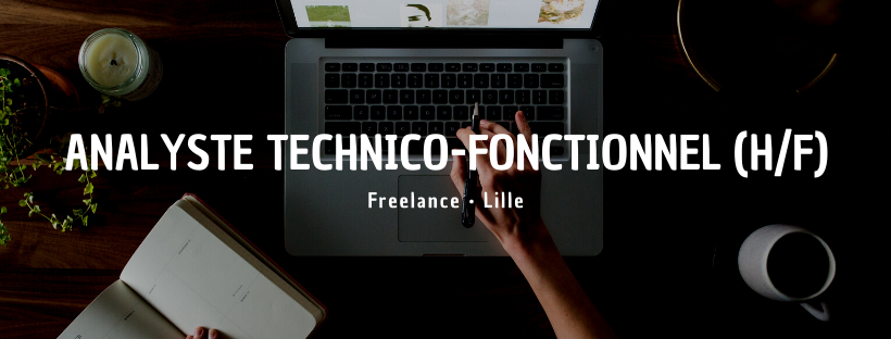 Analyste technico-fonctionnel (H/F)