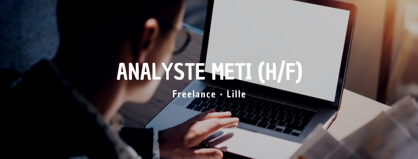 Analyste Meti (H/F)