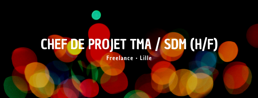 Chef de projet TMA / SDM (H/F)