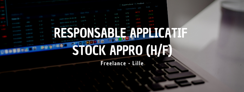 Responsable Applicatif Stock Appro (H/F)