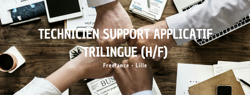 Technicien Support applicatif trilingue (H/F)