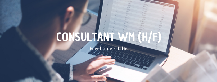 Consultant WM (H/F)
