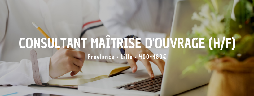 Consultant Maîtrise d'Ouvrage