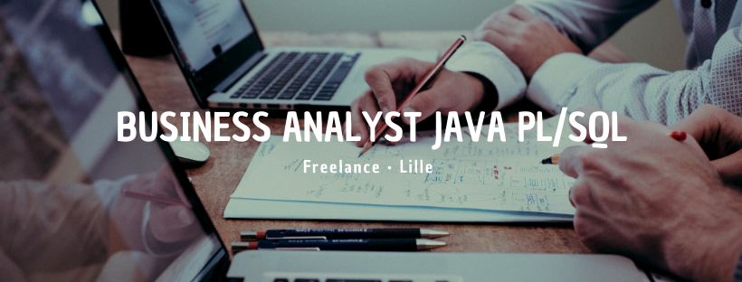 Business Analyst Java PL/SQL