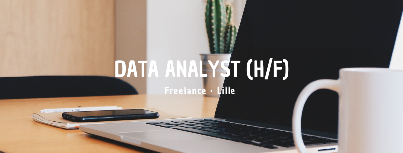 Data Analyst (H/F)